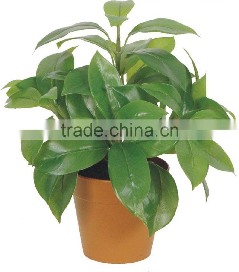 artificial green bonsai Philodenron selloum Koch WB10-13J-GN ( plant bonsai flower tree of Este )