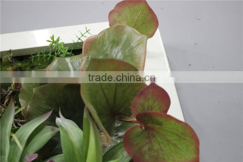 for home garden tiles deco 120*60cm paint color indoor artificial succlent boutique plant wall laminate combinations Ejq10 1204