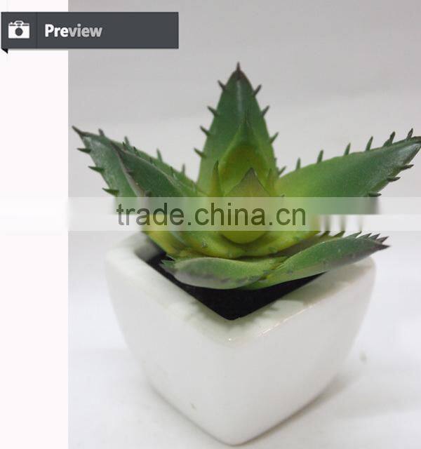 Wholesale mini succulent potted Artificial mini aloe green aloe artificial plant