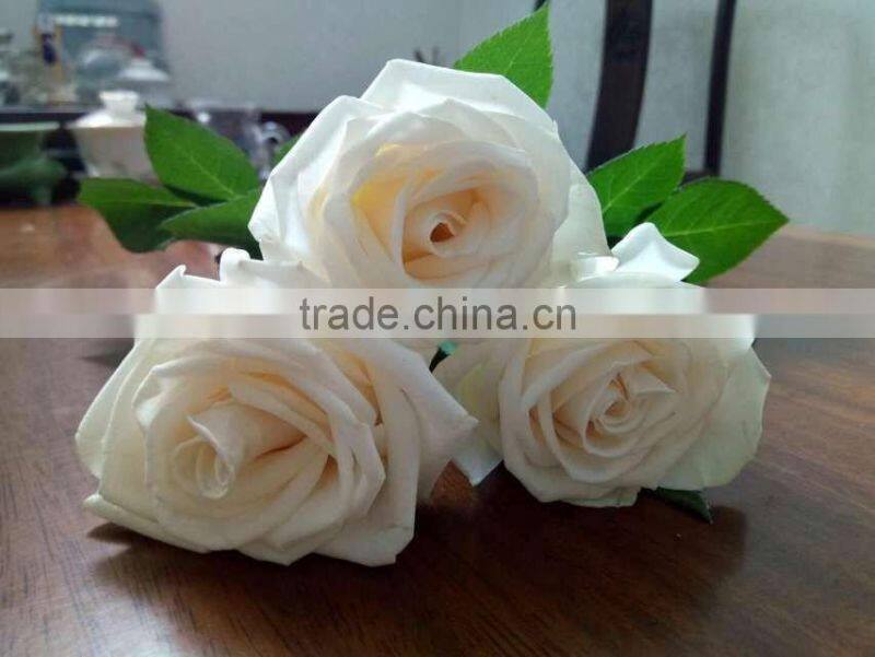 Natural Fresh Cut White Rose Flower Mother's Day Gift Processing Type Export From Yunnan