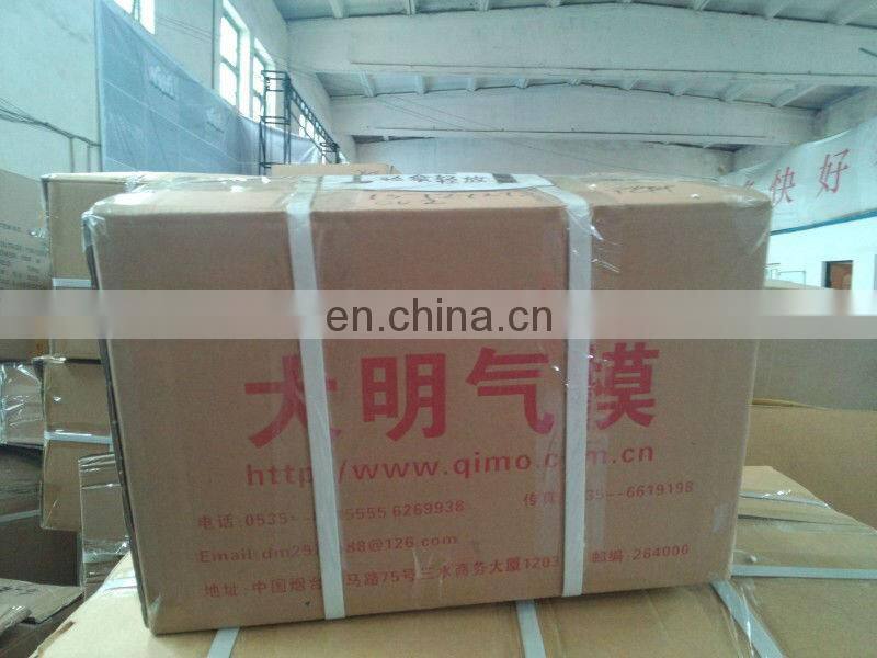 Christmas mushroom house/inflatable tent CK-D-712