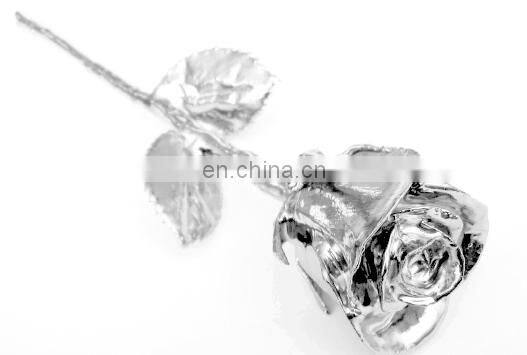 Silver Plated Natural Rose