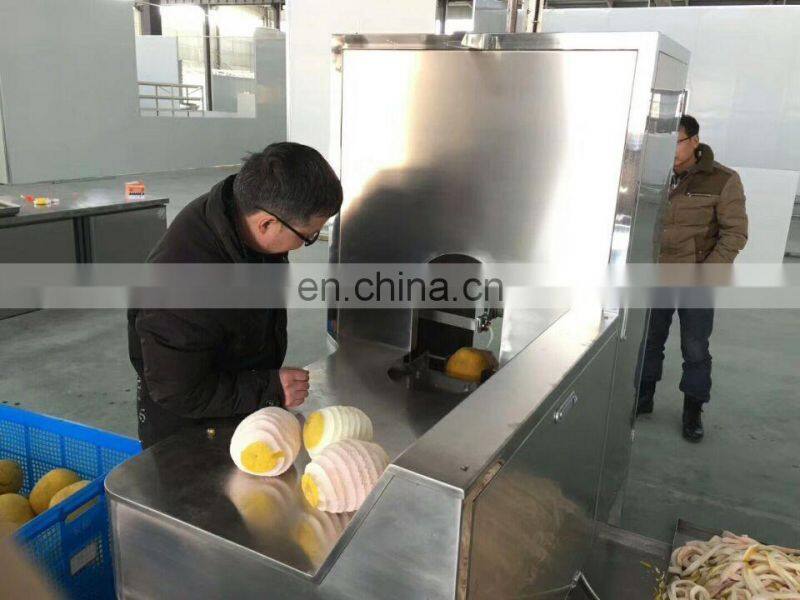 High Quality PLC Controlled Apple Peeling/Coring/Slicing Machine/+86 189 39580276