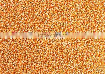 Grain Processing Machine