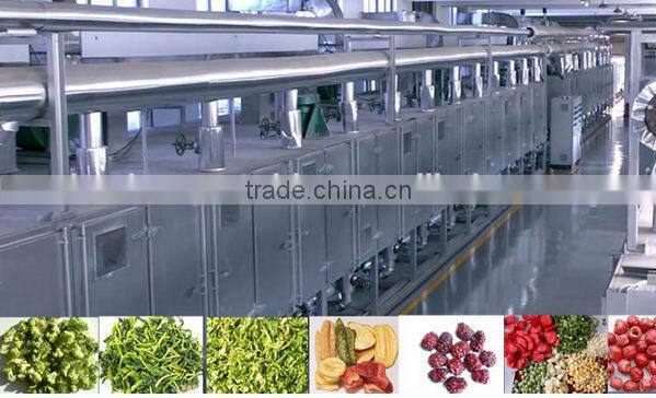 food drying cabinet/ mesh belt dryer/conveyor belting dryer