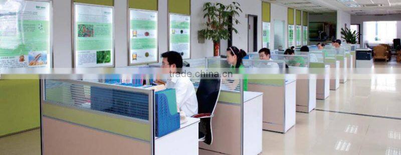 High Quality Matcha Green Tea Powder