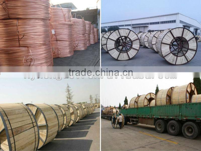 Copper Conductor XLPE Insulated Branch Cable