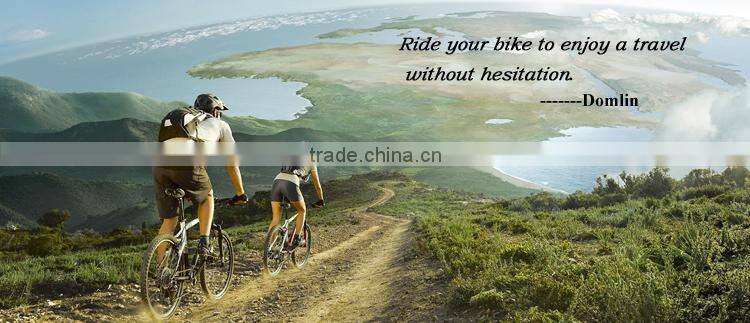 Popular Chinese manufacturing steel 20 inch folding electric bicycle