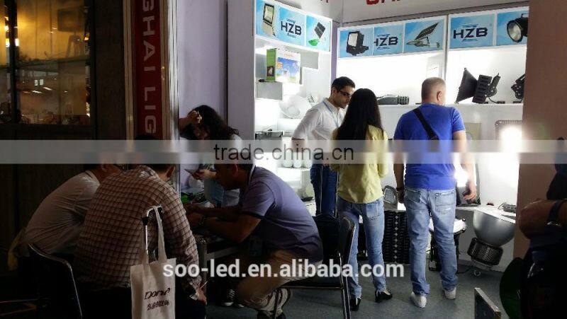 LED Park light led street light 30W replacement with high quality