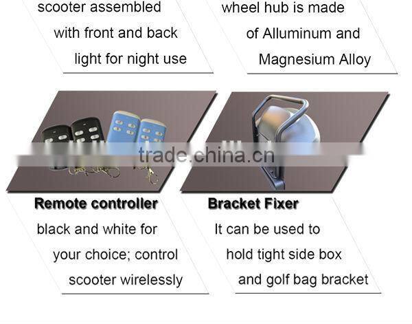 colorful and luxury electric skateboards for sale with CE FCC ROHS