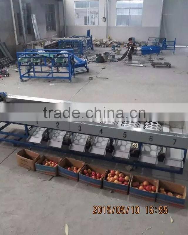 blueberry sorting machine