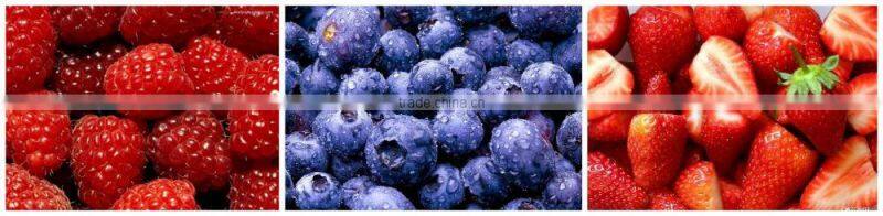 3 ton LXJ-3 Model showering (water bath) type berry fruit washer(Industrial berry fruits washer)