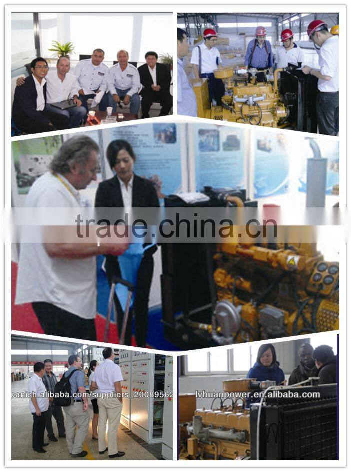 30 kva Water Cooled 24 kw Biomass Electric Generator