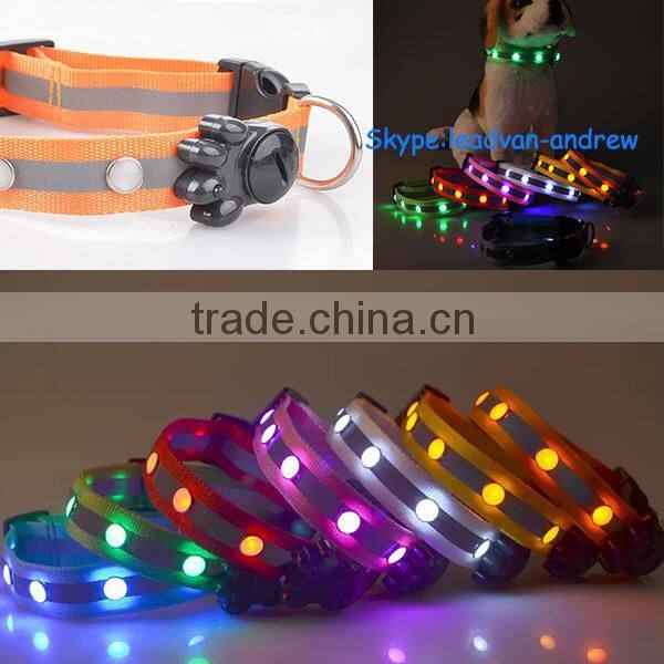 light up you and your pet dog evening dog collar with led lights