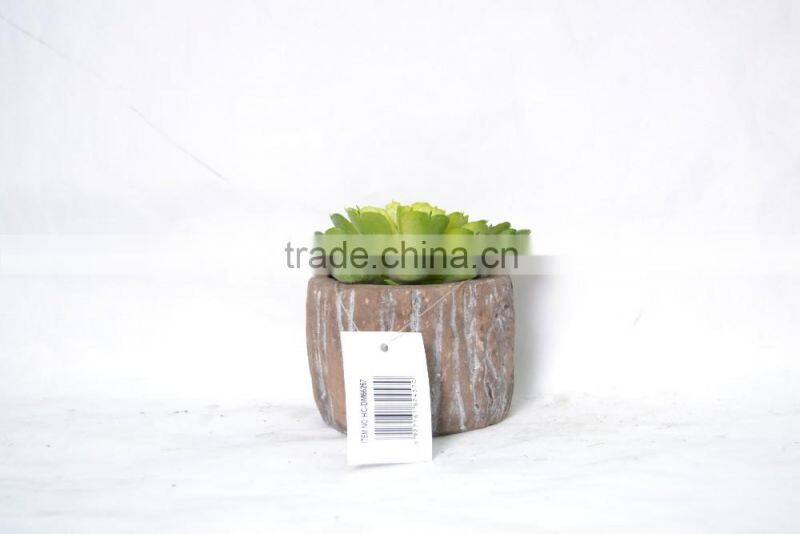 Green Artificial Succulent Plant In Round Pot