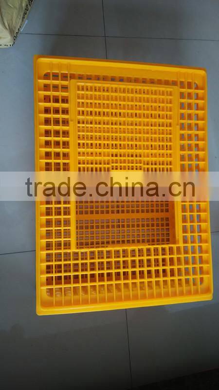 plastic poultry transport crate/chicken transport box lydia chang 0086.15965977837