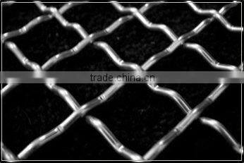 crimped wire mesh/crimped wire netting
