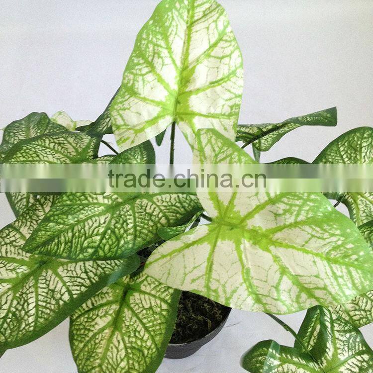 fake taro bonsai plant