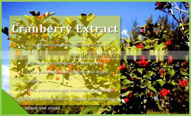 pharmaceutical grade cranberry extract powder