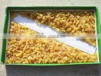 dried golden raisin