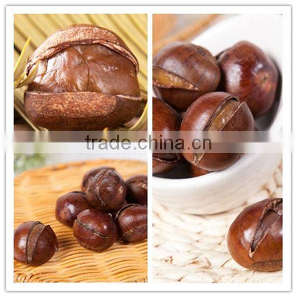 Best quality roasted chestnuts with shell, Chinese chestnuts