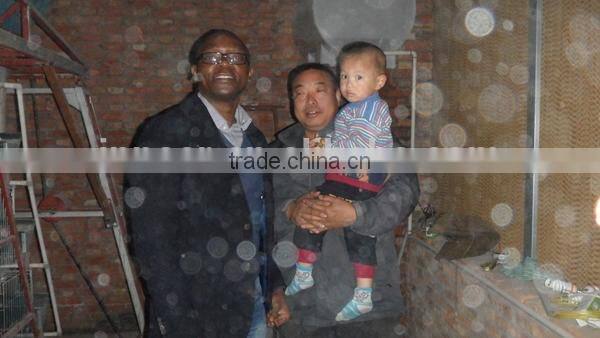Galvanized/PVC Coated Welded Wire Mesh Anping County China 24 years Manufacturer