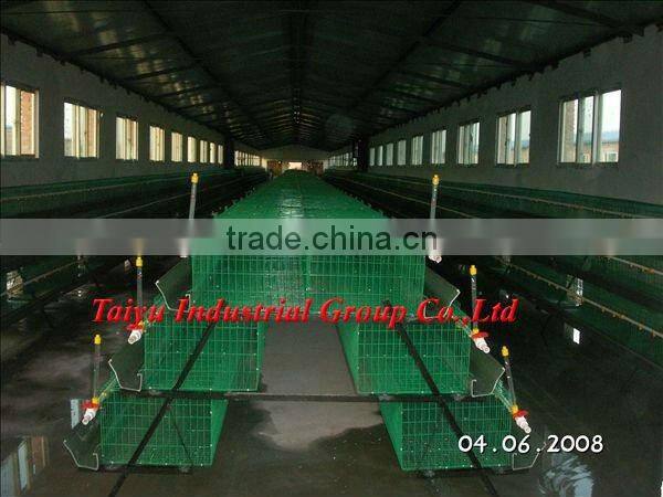 TAIYU-7 3 tier-A type egg laying chicken cage system