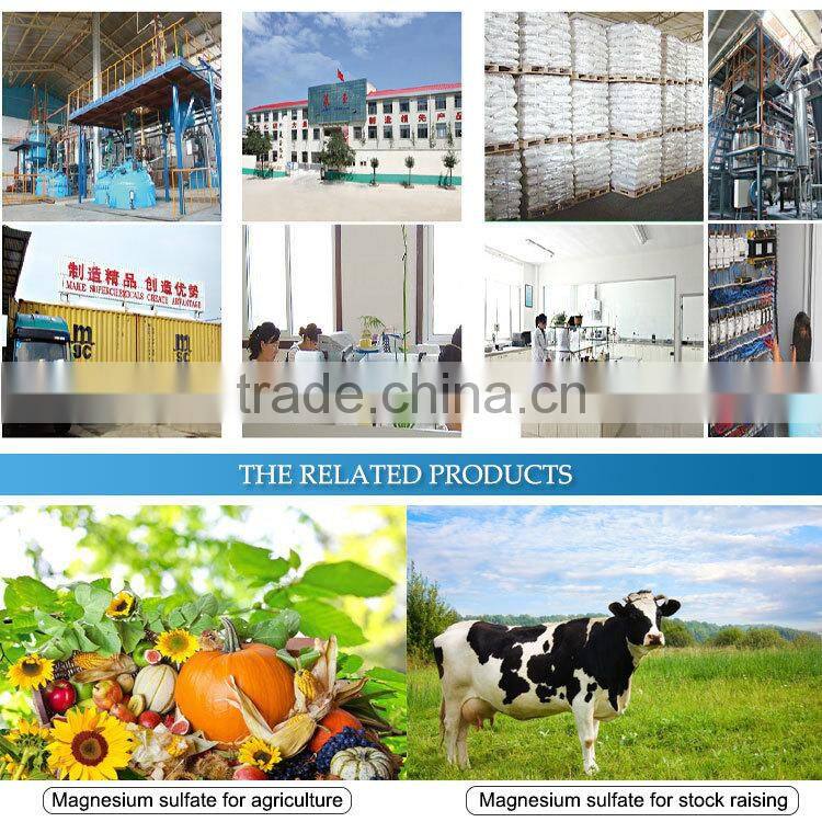 Magnesium Sulfate Anhydrate powder 98%min MgSO4 China