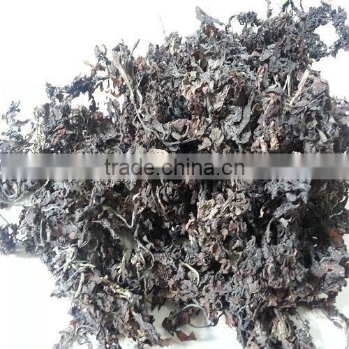 2017 New Dried Sargassum seaweed