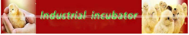 HHD Automatic 1320 eggs industrial chicken hatcher suppliers of algeria chicks incubator