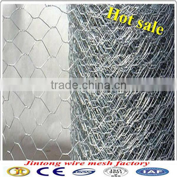 anping jintong galvanized bird cage wire mesh/chicken wire Low Price