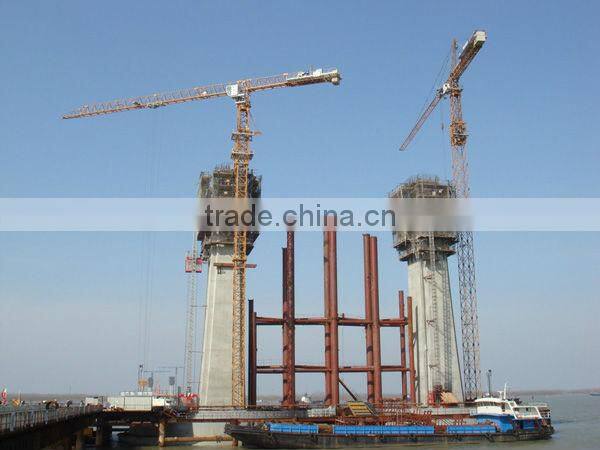 Tower crane P200--CANMAX