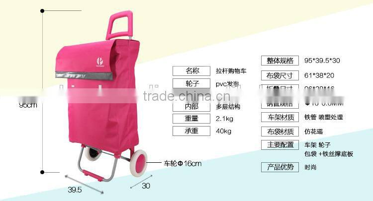 BAG00110 Shopping Bag with Wheels and Shopping Cart