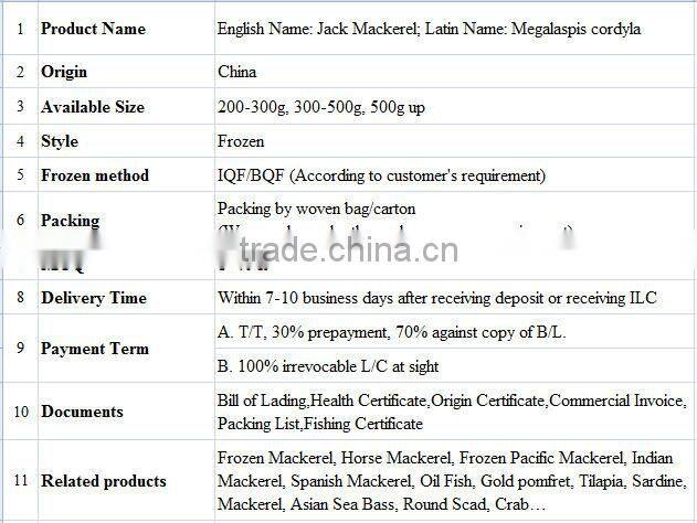 canned fish of jack mackerel