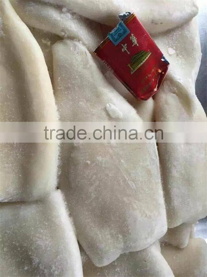 High Quality Squid tube from China on Hot Sale