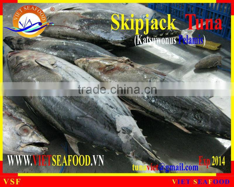 FROZEN W/R SKIPJACK TUNA