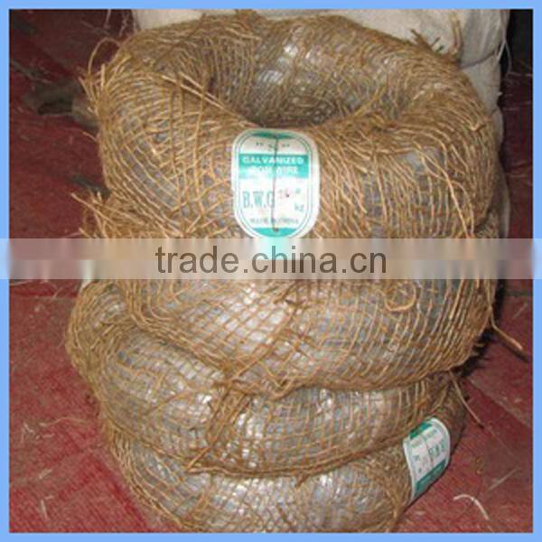 Galvanized steel coil wire /galvanised coil wire
