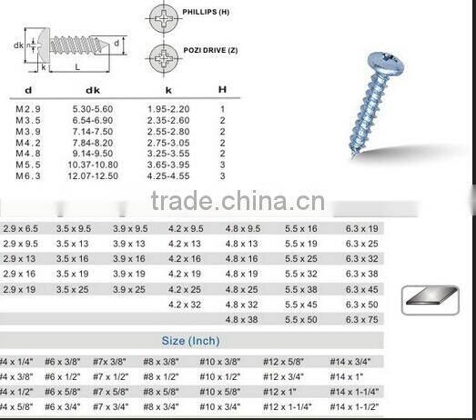 Oval Pan Head Self-tapping Screws in Guangzhou