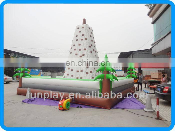 Adult climbing rock climbing walls