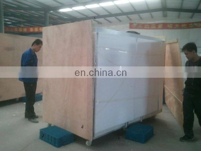 Factory price top quality vegetable seeds barley germinating machine