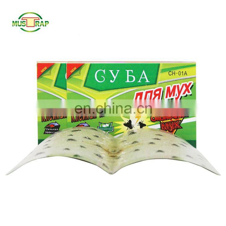 Best selling cheap price catch fruit fly glue trap sticky fly paper