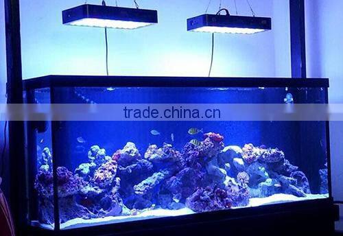 Marine led aquarium light fixture, 120w saltwater coral reef led aquarium light for 24inch 60cm reef tank