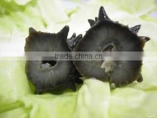 2016Pured dry sea cucumber