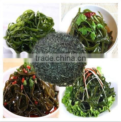 preserved kelp slice2016