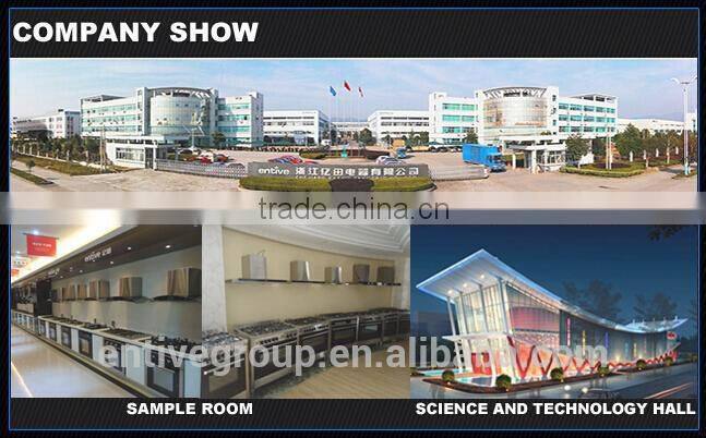 ENTIVE price for 2 burner electric stove