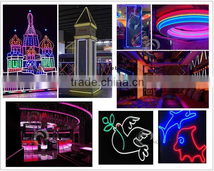 5M 300LEDs 24V 12V LED Neon Flex Digital Programmable RGB Neon LED Strip