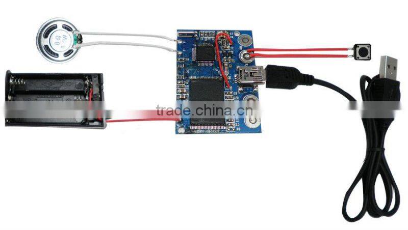 Souvenirs toy with USB chip