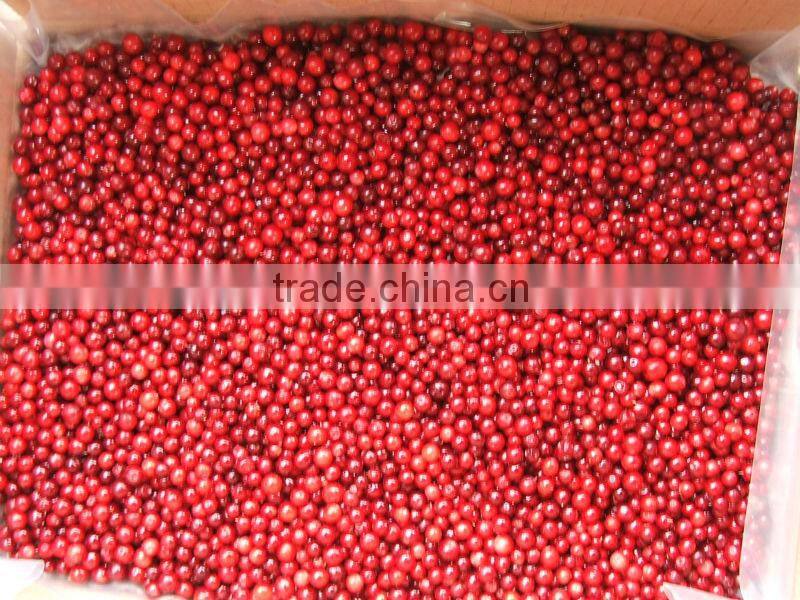IQF frozen Lingonberry/cowberry with good quality and hot price
