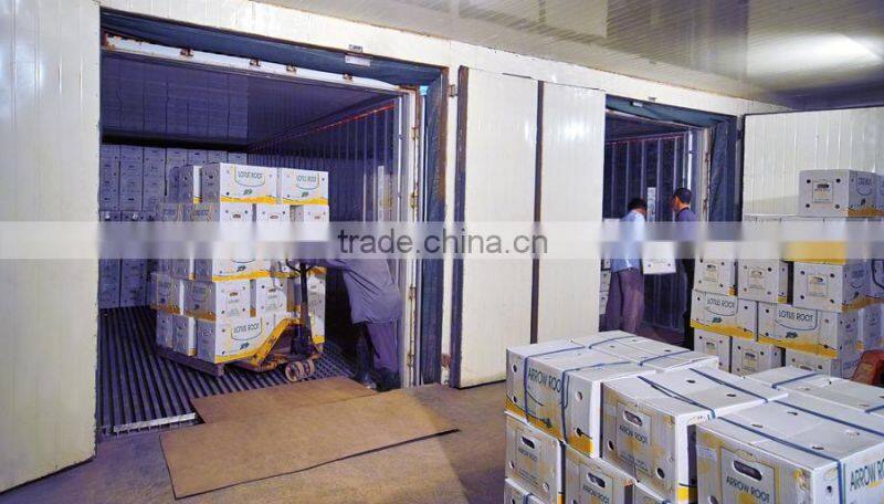 2015 fresh harvest Pueraria lobata arrow root