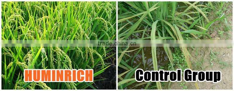 Huminrich Economic Special Fertilizer Chelation Supplements